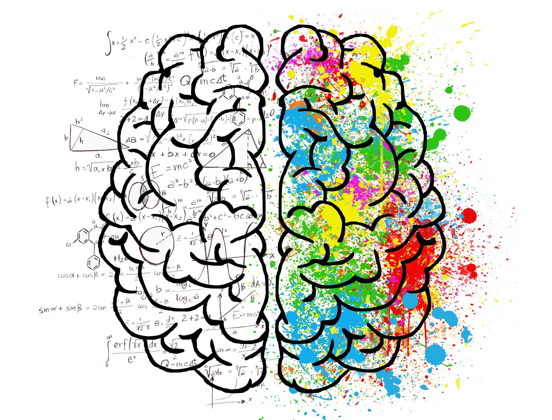Illustration of a brain showing logic on left and color on right